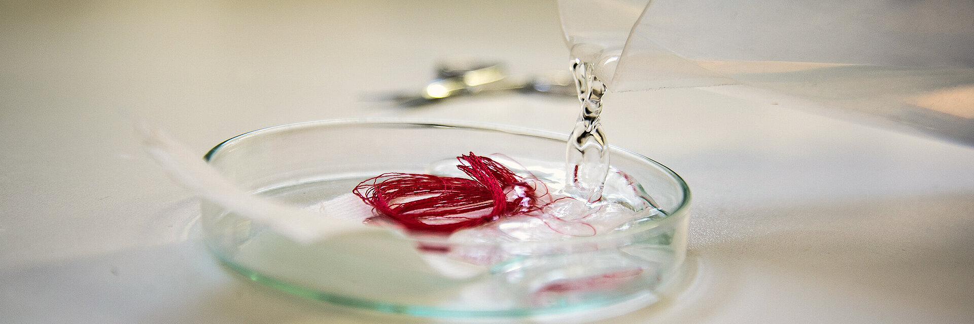 [Translate to Hongkong (Englisch):] embroidery thread quality test with red thread in a lab dish