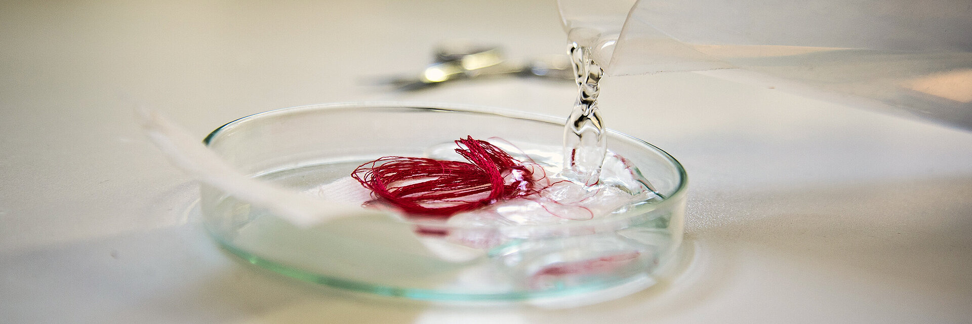 [Translate to Vietnamesisch:] embroidery thread quality test with red thread in a lab dish