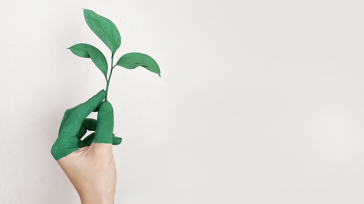 [Translate to Hongkong (Englisch):] Hand with green painted fingers holding a small green plant 